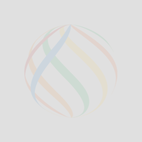 ITServe Alliance Raleigh Chapter Monthly Meeting and CSR Activity